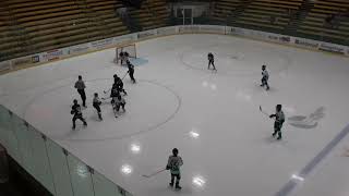 Hockey  Essex Sting Youth 12U T2 Vs Black Bear 12U 9 29 24 [upl. by Llerrot24]