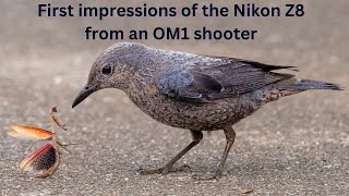 First impressions of the Nikon Z8 from an OM1 shooter Will it become my main camera [upl. by Anirbed]