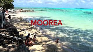 The beautiful and amazing downtown and clear beach 🏝️ of the Polinesia Francese 🇵🇫 papeete moorea [upl. by Huda]