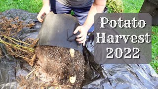 Potato Harvest 2022  Harvesting Potatoes In A Container  Harvesting Potatoes Grow Bags From Amazon [upl. by Lotty861]