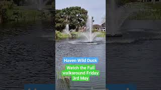 Haven Wild Duck Holiday Park Full walkaround coming 3rd May travel haven wildduck [upl. by Chancelor687]