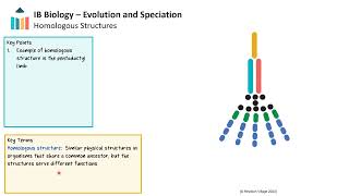 Evolution and Speciation IB Biology SLHL [upl. by Atiluj]