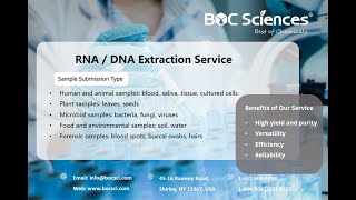 DNA Extraction Explained  DNA Isolation  DNA Extraction Steps  RNA Extraction  BOC Sciences [upl. by Christabelle]