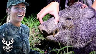 Hunting Javelina in South Texas [upl. by Kimber]