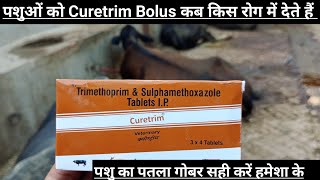 Use Vetenary Curetrim bolus  Trimethoprim amp Sulphamethoxazole Tablets IP  Curetrim tablet [upl. by Edithe]