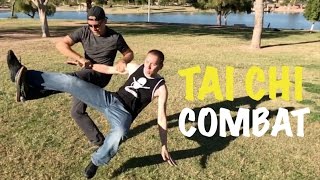 Real TAI CHI FIGHTINGThe Best [upl. by Dailey]