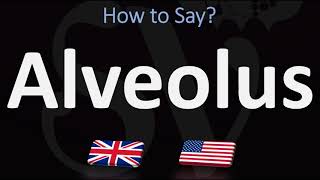 How to Pronounce Alveolus 2 WAYS UKBritish Vs USAmerican English Pronunciation [upl. by Trixie]