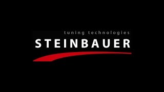 STEINBAUER Performance Austria GmbH [upl. by Fendig499]