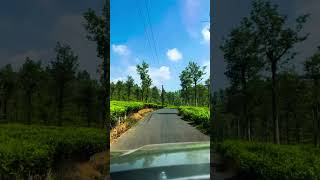 Hidden routes of Nilgiri hills🏔️nilgirihills vacation [upl. by Ahso]