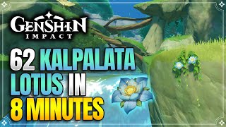 Kalpalata Lotus Locations  Fast and Efficient Route  Nahida Ascension Materials 【Genshin Impact】 [upl. by Salahi653]