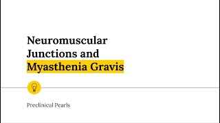 Neuromuscular Junctions and Myasthenia Gravis [upl. by Thisbe]