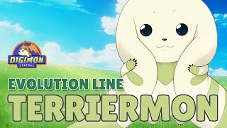 Terriermon Evolution Line [upl. by Dnalor]