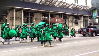 Mummers Parade 2014 [upl. by Leay]