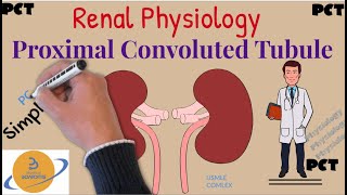 Kidney PhysiologyRenal Proximal Convoluted Tubule  PCT  Simplified for USMLE  COMLEX amp NCLEX P1 [upl. by Lorenza]