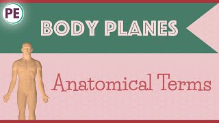 Anatomical Terms Human Body Planes [upl. by Collins]