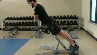 Erector Spinae Workout Prevent Erector Spinae Pain Strain and Injury [upl. by Nocaed459]