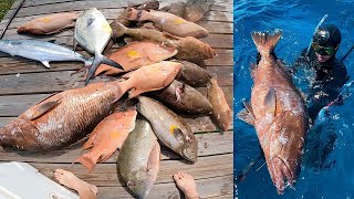 Spearfishing BIG Cubera Snapper in the BAHAMAS  Episode 40 [upl. by Assiran438]