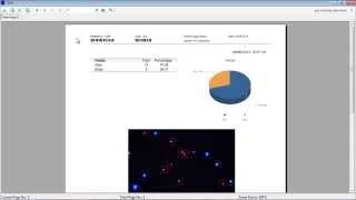 Reports  CASA System SCA Evolution Veterinary Edition [upl. by Helfant635]