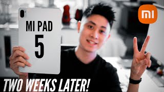 Xiaomi Mi Pad 5 FINAL LONG TERM REVIEW MIUI Bugs Lags Any Regrets [upl. by Darelle437]