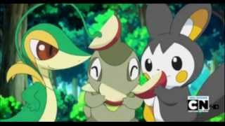 Snivy and Emolga AMV Too Cool [upl. by Elleinad]