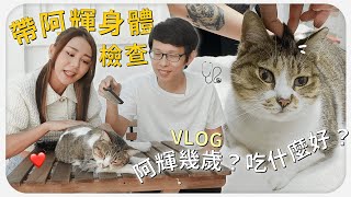 帶阿輝去體檢 🐈 阿輝幾歲？貓適合吃什麼飼料？🤔 經痛的救星 ✨ 一貼幫你解決｜MAYHO【 美好的一天 】 [upl. by Wilhelmine]