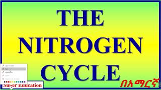 The Nitrogen cycle በአማርኛ [upl. by Schaab]