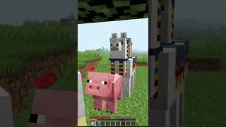 Minecraft But You Can Control Habibi Duck [upl. by Elijah]