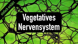 Vorlesung 5 Vegetatives Nervensystem [upl. by Stock]