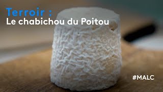 Terroir  le chabichou du Poitou [upl. by Critta]