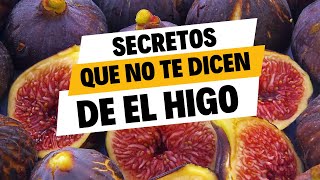 Beneficios ASOMBROSOS de los higos para tu salud [upl. by Nanda447]