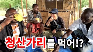 오지 부족과의 식사그러나 독성 물질 청산 지구아 ep6 다큐멘터리 documentary africa [upl. by Cleave]