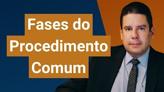 Fases do Procedimento Comum quais são as fases do procedimento comum do processo de conhecimento [upl. by Auof]