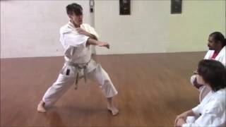 Hip hanmi to shomen  Rick Hotton Sensei [upl. by Airet]