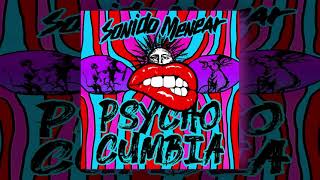 Psycho Cumbia Radio Edit Audio [upl. by Iaverne]