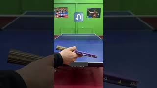 Table Tennis Serve Technique ↩️🏓tabletennis pingpong serve pingpongserve tabletennisserve [upl. by Lenehc]