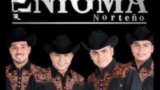 enigma norteno elondeado ylapecheraajustada [upl. by Hoban]