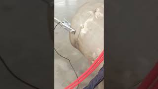 dual wire feeder for laser welding machine weldingwire doublewirefeeder laserwelding weld [upl. by Eiralam]