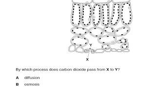 biology  plant nutrition MCQS from past papers part 1 [upl. by Menon587]