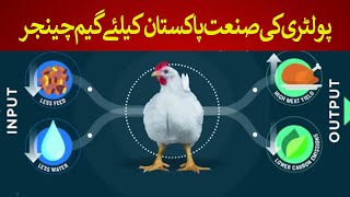 Poultry Industry is a Game Changer for Pakistan  Rich Pakistan [upl. by Haronid]