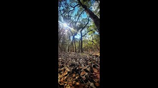 Ancient Texas Indian Mounds [upl. by Cyrillus]