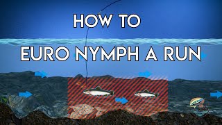 Euro Nymphing a Run  How To [upl. by Eemak]