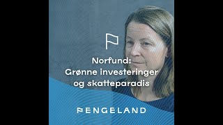 Pengeland Norfund grønne investeringer og skatteparadis [upl. by Ulla679]