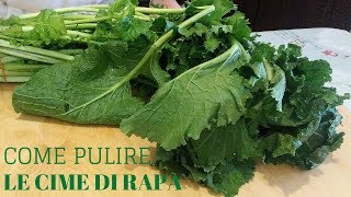 COME PULISCO LE CIME DI RAPA [upl. by Island]