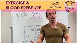 Exercise amp Blood Pressure [upl. by Maxim928]