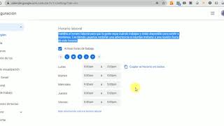 Configuración del horario laboral en su cuenta de correo [upl. by Ewart]