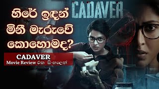 සිව් වසරක මළසිරුරක් හෙළි කරපු අභිරහස  Cadaver Movie Review in Sinhala  Movie Reviews in Sinhala [upl. by Allebasi576]