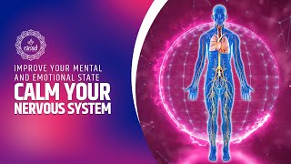 Calm Your Nervous System Reduce Stress  Improve Your Mental And Emotional State  Music Therapy [upl. by Sonstrom]