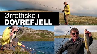 Fisketur etter ørret i DovrefjellSunndalsfjella nasjonalpark [upl. by Sorkin]