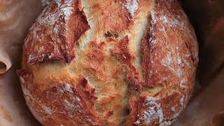 ARTISAN BREAD  NO KNEAD BREAD  Homemade Dutch Oven Bread  Crusty Bread 4K Juicing Peaches [upl. by Docilu]