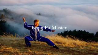 Northern Shaolin Kung Fu Forms 北少林功夫 [upl. by Nallad]